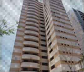 OBra entregue 01